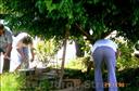 Frente2000 (7)